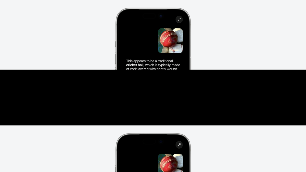 siri analyzing photo of cricket ball in camera app